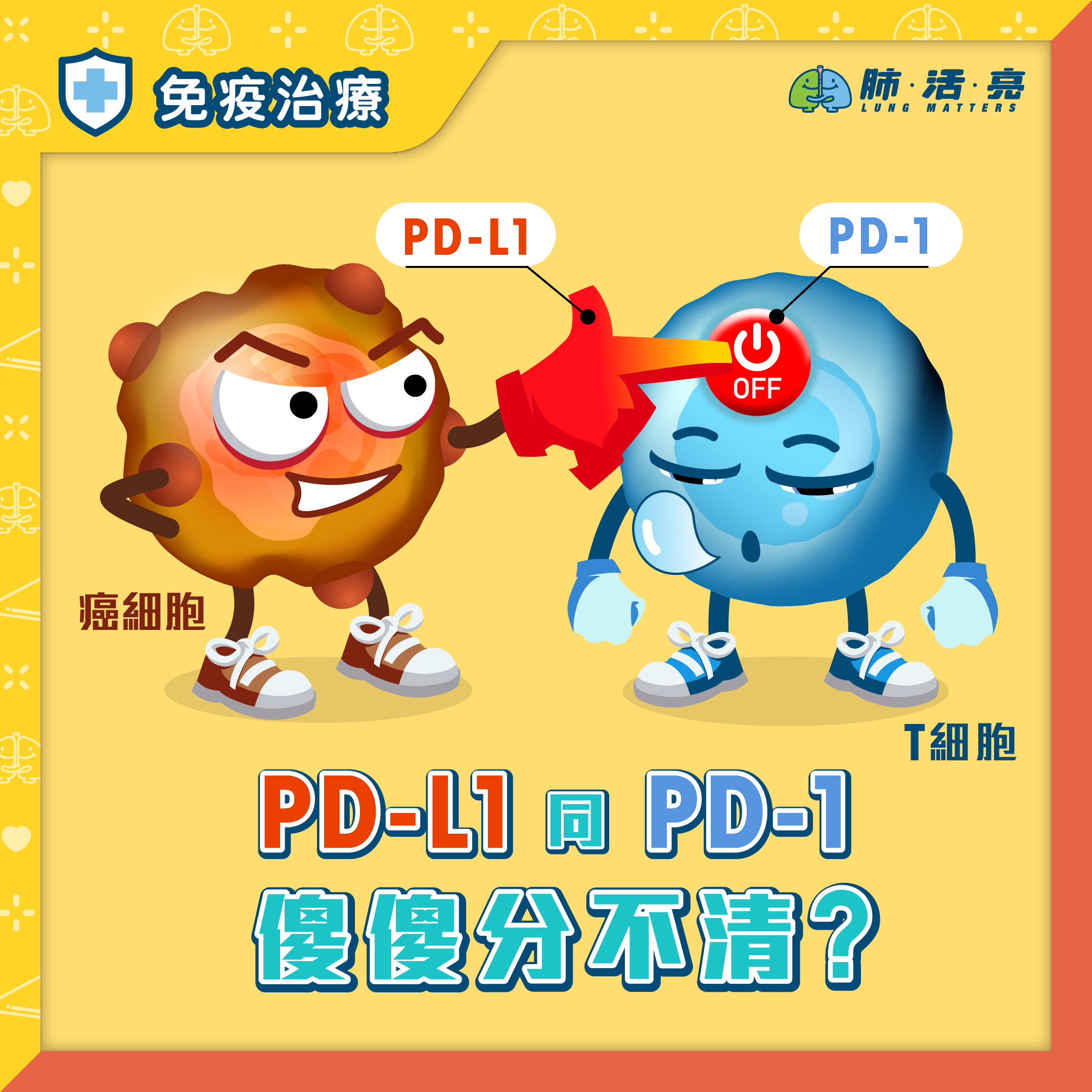 PD-1和PD-L1的分別